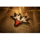 International 2026 Team Loading Screen - Team Yandex