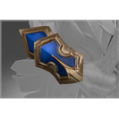Bracers of the Lionsguard