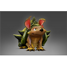 Almond the Frondillo