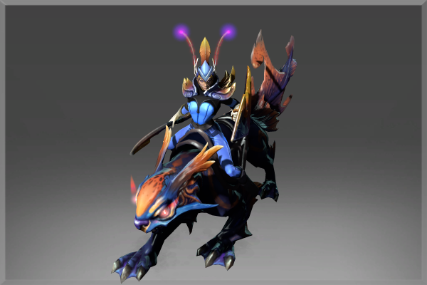 Reef Kyte Rider