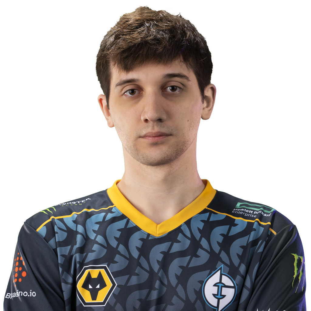 Holo 天鸽 Player Sticker - TI 2022