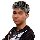 Pakazs Player Sticker - TI 2022