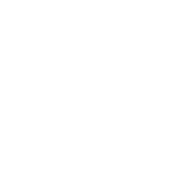 Holo Team Spirit Team Sticker - TI 2024