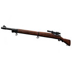 Springfield S | Doomsday (Battle Hardened)