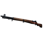 M1 Garand | Warpaint (Flawless)